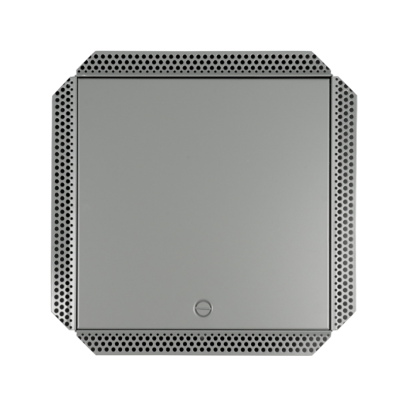 SS-AP250SB Pannello di accesso in acciaio